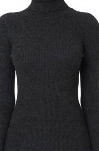 Solid Turtleneck Long-Sleeve Sweater