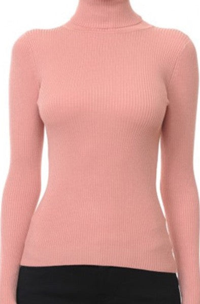 Solid Turtleneck Long-Sleeve Sweater