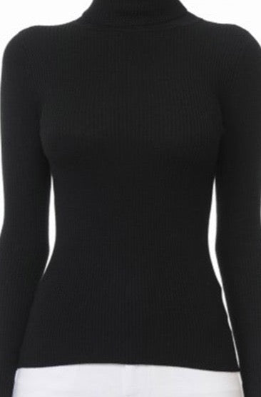Solid Turtleneck Long-Sleeve Sweater